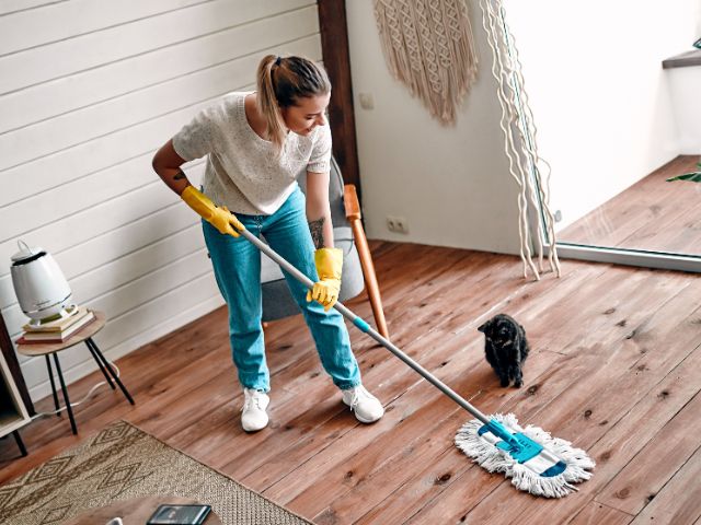 Pet-Friendly Cleaning Tips for a Safe, Clean Home | Elite Maids Cleaning Services