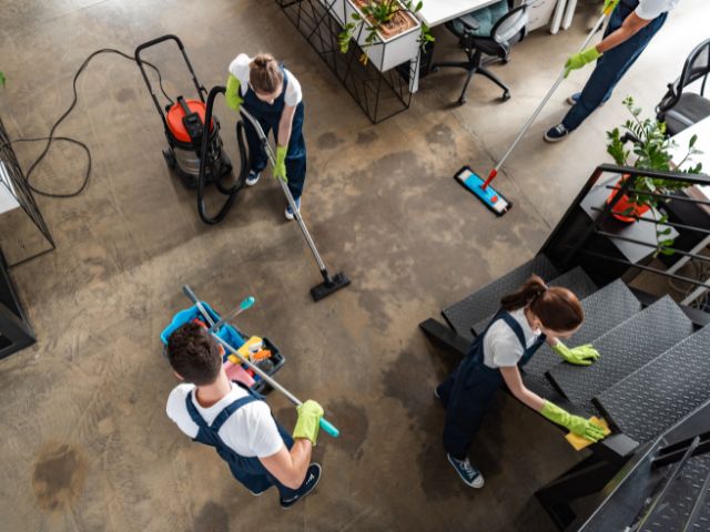 The Science of Cleaning: Caring for Every Surface Right | Elite Maids Cleaning Services