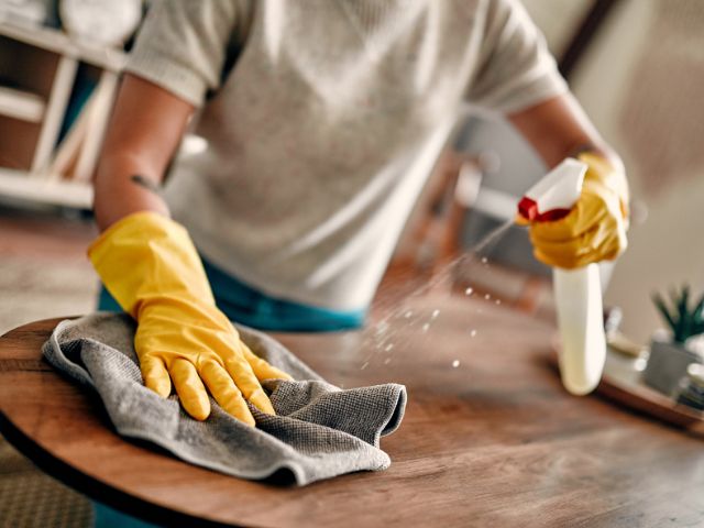 Post-Event Cleaning Services: Restoring Order After Gatherings | Elite Maids Cleaning Services